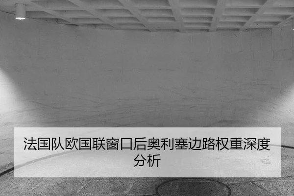 fa-guo-dui-ou-guo-lian-chuang-kou-hou-ao-li-sai-bian-lu-quan-zhong-shen-du-fen-xi-2-435.jpg